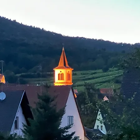 Vignoble&jardin - Parking Privé à 3* Riquewihr