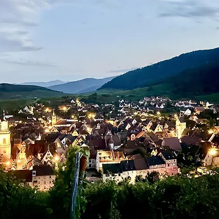 Vignoble&jardin - Parking Privé à 3* Riquewihr