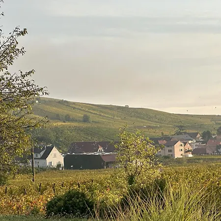 Pensión Vignoble&jardin - Parking Privé à Riquewihr